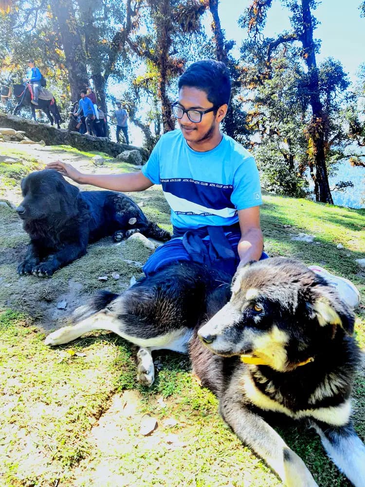 Gantavya sitting on a grassy ridge with two mountain dogs